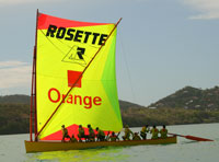 ROSETTE ORANGE azz L'ARME FATALE